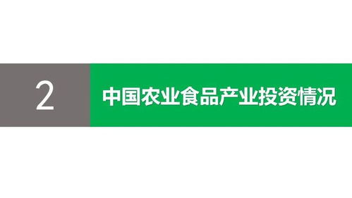 逆势上涨 2020年中国农业食品投资年报