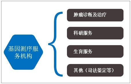 2021 2027年中国基因测序服务机构市场竞争格局及投资战略咨询报告