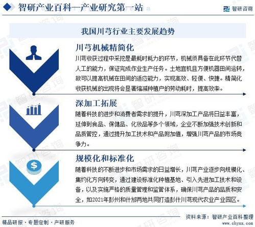 智研咨询发布 中国川芎行业发展现状 产业全景概览及投资方向分析