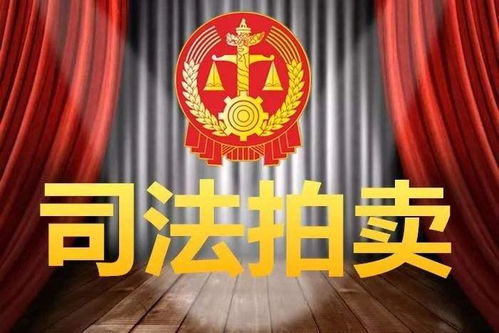 一站式 司法征信服务平台助力海南打造优质法治环境