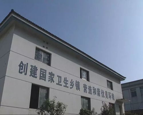 稀奇 餐厨废弃物变成 宝