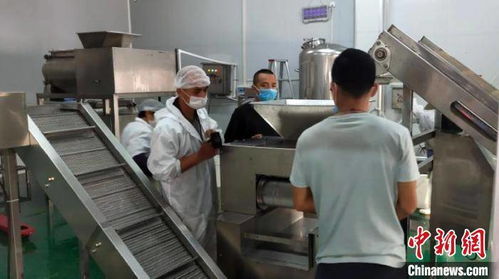 看中产品进出东盟便利 台商投资广西崇左农业产业