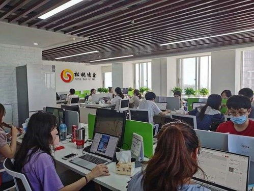 贵州松桃迪鑫投资开发 松桃迪鑫 五千如何进行理财规划